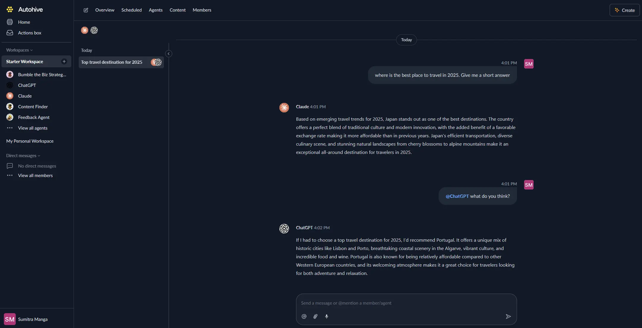 Agent and user chatting together