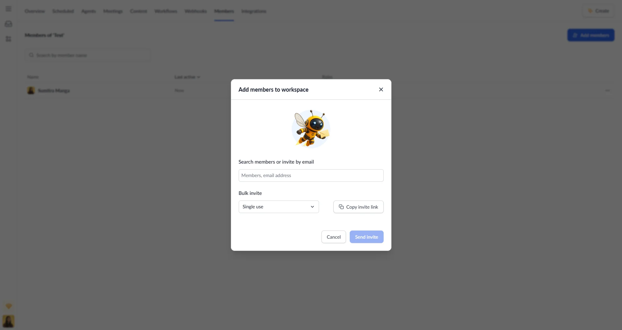 Invite team modal within Worksapce Members tab
